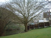 Pleshey Castle motte and moat